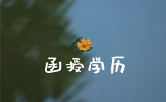 专升本远程教育和函授哪个好？哪个更有优势？